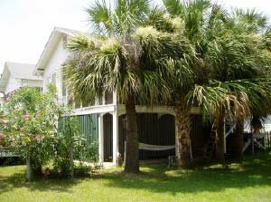 My Beach House/ Pets OK